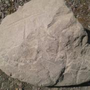 pétroglyphe ou pierre marquée